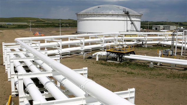 Name:  petroelo.jpg
Views: 10
Size:  60.9 KB