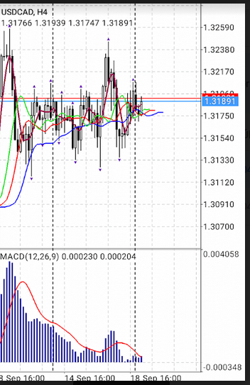 Name:  usd cad.png
Views: 204
Size:  185.1 KB