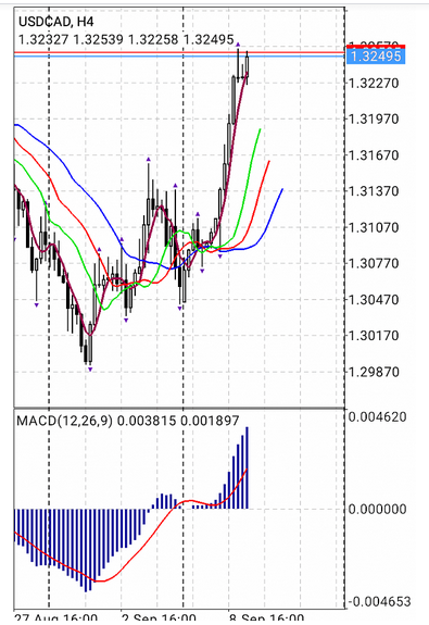 Name:  usd cad.png
Views: 239
Size:  194.9 KB