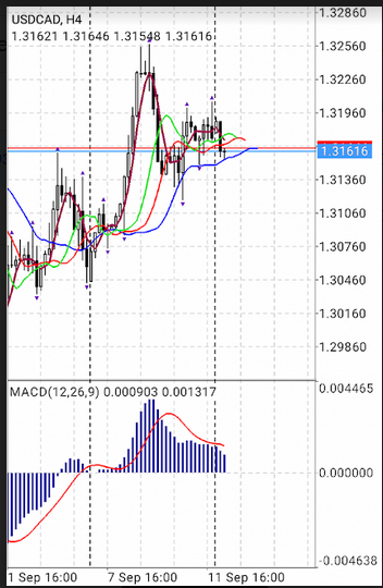 Name:  usd cad.png
Views: 197
Size:  181.4 KB